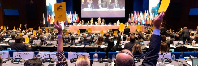Parlementsleden stemmen door het omhooghouden van briefjes in de plenaire zaal van het World Forum.
