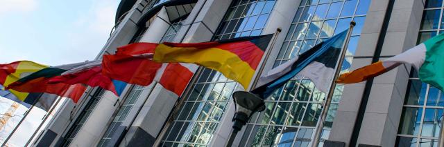 vlaggen van Europese lidstaten