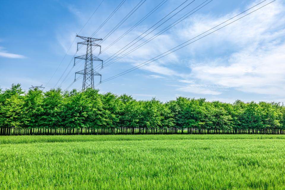 hoge elektriciteitsmast in een groot groen grasveld met een rij groene bomen