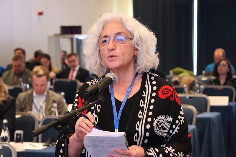 Karimi stelt een vraag in het parlement van Kirgizië.