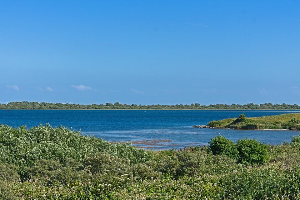 Weids uitzicht over het Grevelingenmeer, op de voorgrond groen grasland en daarachter helderblauw water en een blauwe lucht. 