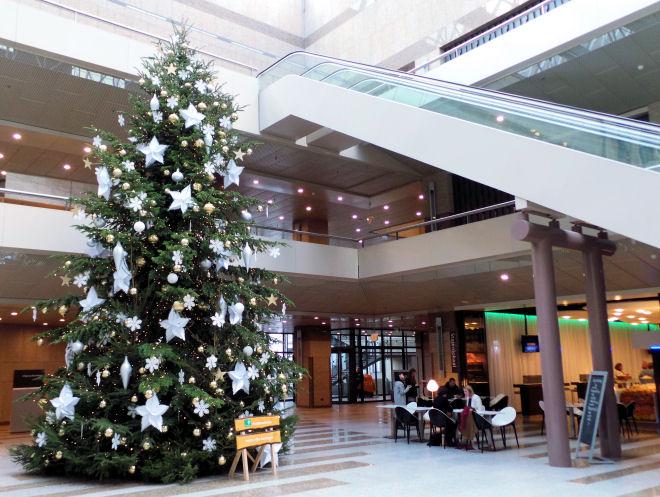 Kerstboom Statenpassage